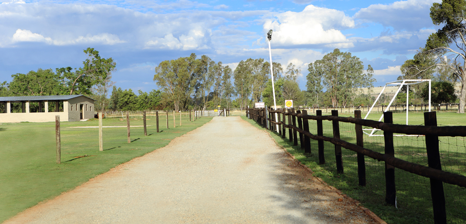 Farm driveway at dusk