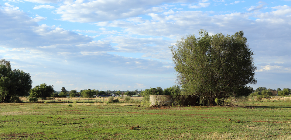 Open veld at Maryland Guest Farm